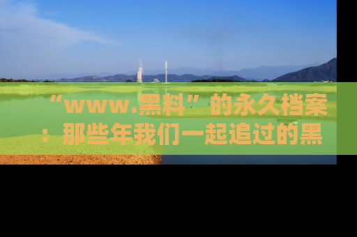 “www.黑料”的永久档案：那些年我们一起追过的黑料真相