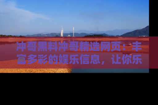 冲哥黑料冲哥精选网页：丰富多彩的娱乐信息，让你乐不停息