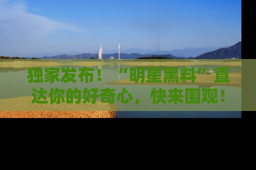 独家发布！“明星黑料”直达你的好奇心，快来围观！