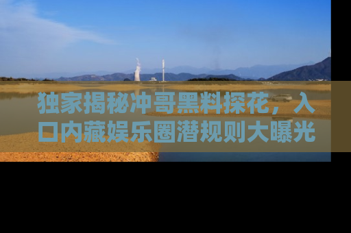 独家揭秘冲哥黑料探花，入口内藏娱乐圈潜规则大曝光