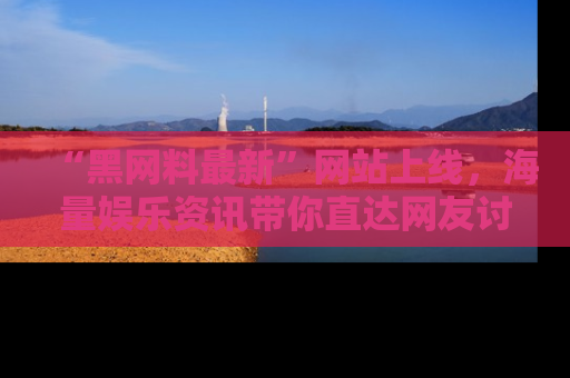 “黑网料最新”网站上线，海量娱乐资讯带你直达网友讨论的中心！