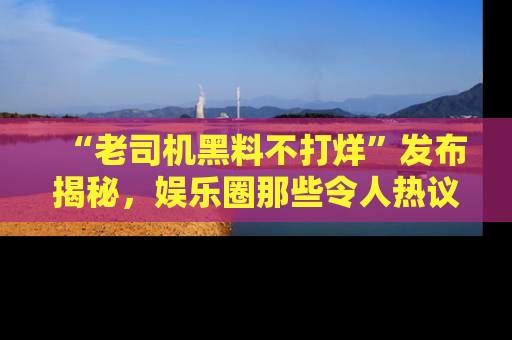 “老司机黑料不打烊”发布揭秘，娱乐圈那些令人热议的黑暗秘密！