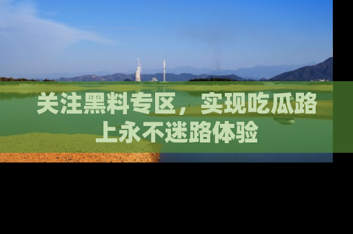 关注黑料专区，实现吃瓜路上永不迷路体验