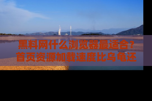 黑料网什么浏览器最适合？首页资源加载速度比乌龟还慢的体验真心吐槽！