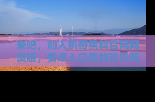 来吧，加入扒哥黑料官网网页版，安卓入口里的欢乐等着你！