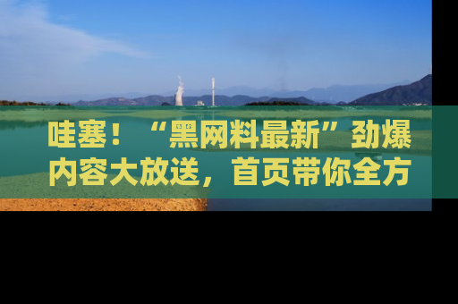 哇塞!“黑网料最新”劲爆内容大放送,首页带你全方位了解哦,小可爱们