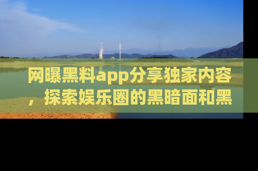 网曝黑料app分享独家内容,探索娱乐圈的黑暗面和黑料