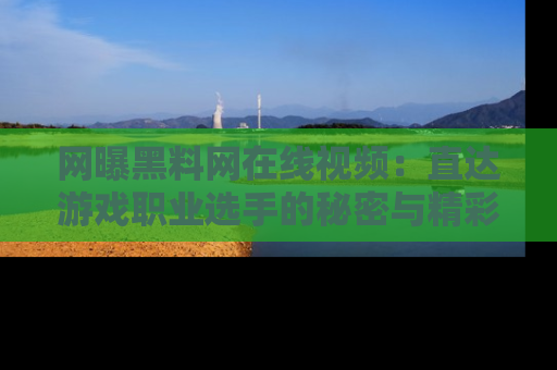 网曝黑料网在线视频:直达游戏职业选手的秘密与精彩动漫片段!