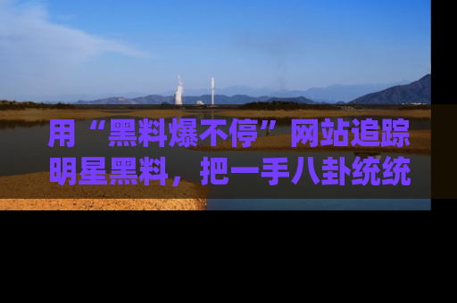 用“黑料爆不停”网站追踪明星黑料，把一手八卦统统收进你的后宫中！