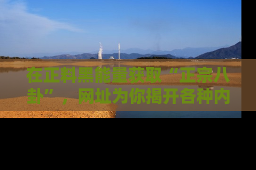 在正料黑能量获取“正宗八卦”,网址为你揭开各种内幕故事!